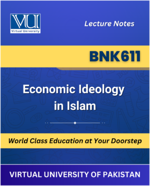 BNK611 Economic Ideology in Islam book cover from VU Bookshop
