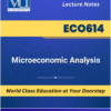 VU ECO614 Microeconomic Analysis Book cover image for Virtual University