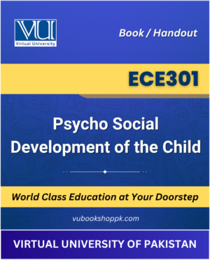 ECE301 – Psycho Social Development of the Child